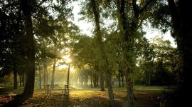 Memorial Park, Houston, TX