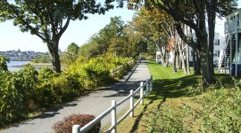 Mill Cove Terrace, Harpswell, ME