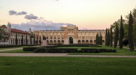 Rice University