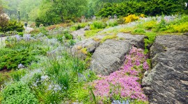 Fort Tryon Park, New York, NY