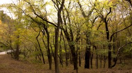 William B. Umstead State Park