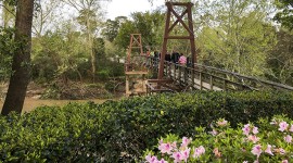 Bayou Bend, Houston, TX