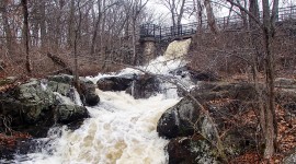 Beaver Brook Reservation, Belmont, MA