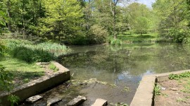 Lower pond, Bellevue Park, PA