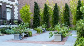 Benjamin Rush Medicinal Plant Garden of the College of Physicians of Philadelphia, Philadelphia, PA