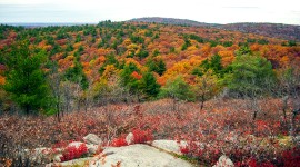 Blue Hills Reservation, Milton, MA