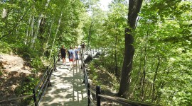 Mount Royal, Montreal, Quebec, Canada