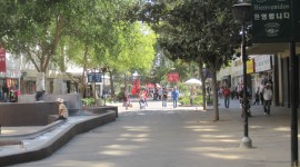 Fulton Mall, 2010