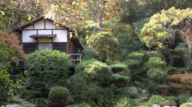 Hannah Carter Japanese Garden, Los Angeles, CA