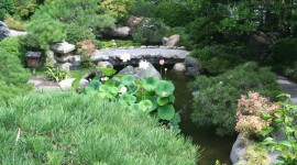 Hannah Carter Japanese Garden