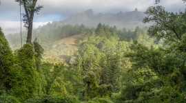 Druid Heights, Marin County, CA