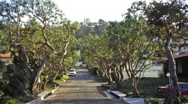 Palos Verdes, CA