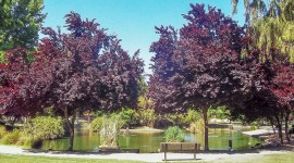 McKinley Park, Sacramento, CA