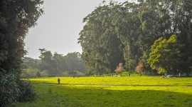 Pine Lake Park, San Francisco, CA