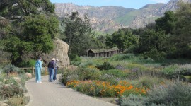 Santa Barbara Botanic Garden