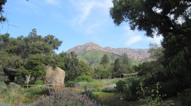 Santa Barbara Botanic Garden