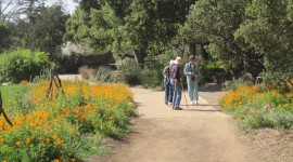 Santa Barbara Botanic Garden