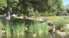 Santa Barbara Botanic Garden