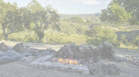 CA_Sonoma_SonomaOverlook_byMarionBrenner-courtesyRoche&Roche_2016_005_sig_halftone.png
