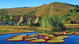 Fazenda Vargem Grande, Areias, Brazil