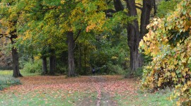 Waveny Park, New Canaan, CT