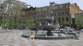 Berczy Park, Toronto, Canada