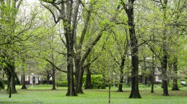 Carle Park, Urbana, IL