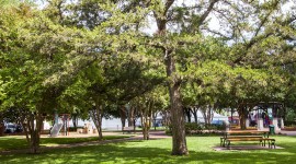 Central Square Park, Dallas, TX