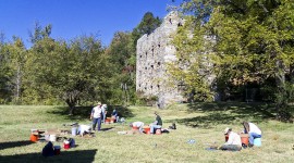 Chapman-Beverley Mill, Broad Run, VA