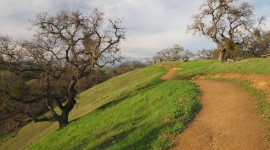 Coyote Valley