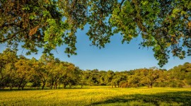 Coyote Valley