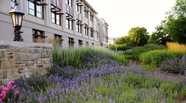 American University, Washington, D.C.