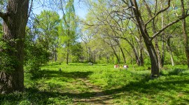 Dumbarton Oaks Park, Washington, DC