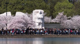 Martin Luther King, Jr. Memorial, Washington, D.C.  