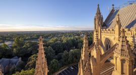Washington National Cathedral - Olmsted Woods, Washington, D.C.
