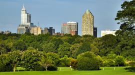 Raleigh-Durham City Guide