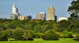 Raleigh-Durham City Guide