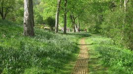 Dumbarton Oaks, Washington D.C.