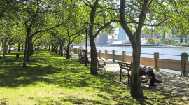 East and West Promenades - Roosevelt Island, New York, NY