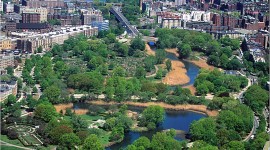 Emerald Necklace