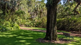 Bok Tower Gardens, Lake Wales, FL