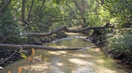 Carpenter Creek, Pensacola, FL