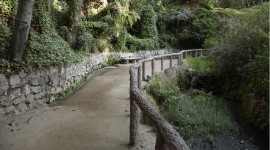 Fern Dell, Griffith Park