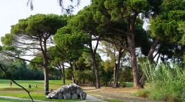 Old Course Golf Cannes Mandelieu, Mandelieu la Napoule, France