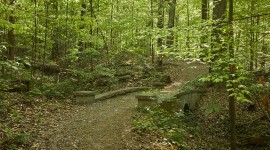 Deepdene Park at Druid Hills, Atlanta, GA