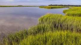 Hog Hammock, Sapelo Island, GA