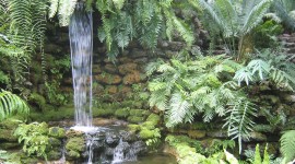 Garfield Park Conservatory - Photo by Charles Birnbaum