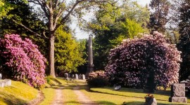 Greendale Cemetery, Meadville, PA