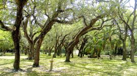 Greynolds Park, North Miami Beach, FL