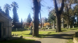 Historic City Cemetery, Sacramento, CA